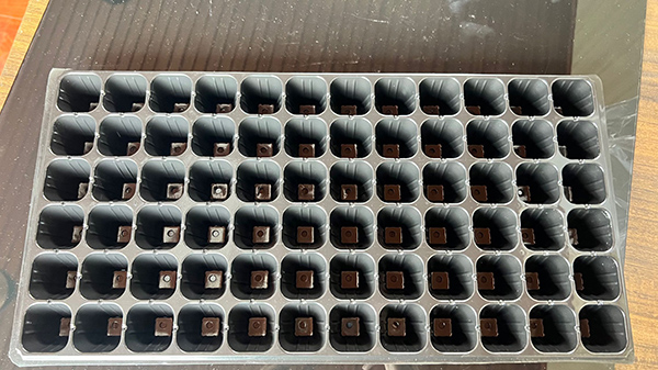 濟寧91精品麻豆免费观看片材價格