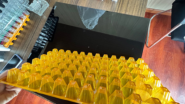 91精品麻豆免费观看育苗穴盤